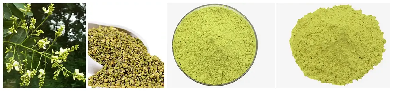 MiMouseShot20251104105718 (1)(1).webp